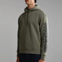 Napapijri Badas 1 Hoodie Dark Green -Outdoor Outfit Store nap np0a4h9agae 006